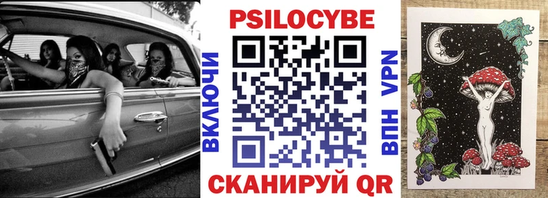 Купить где  Протвино  Псилоцибиновые грибы прущие грибы 